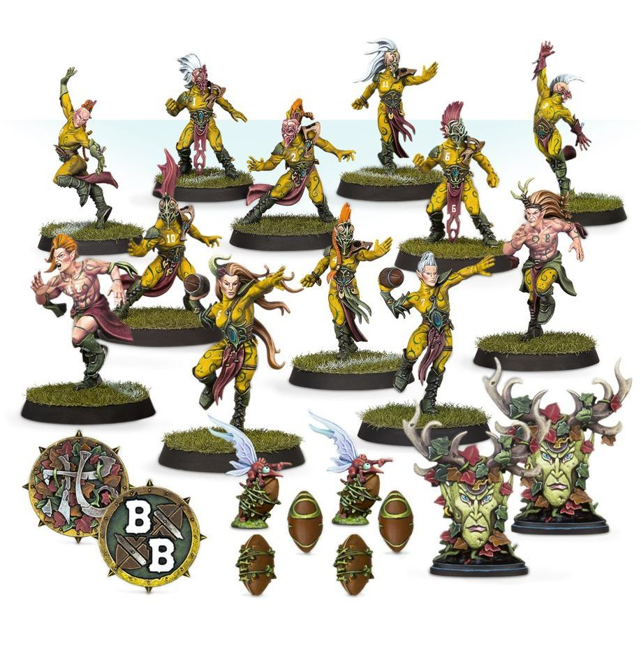 Blood Bowl Team: Wood Elf
